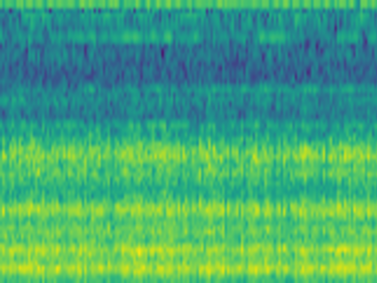 Audio spectrogram of an interaction