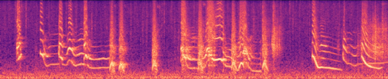 Dog barking and road noise overlap in the Complex reference. Edit the pitch of dog barking while preserving road noise.